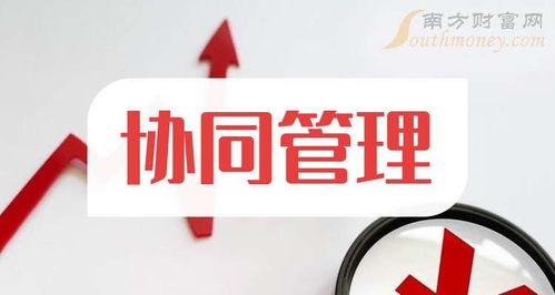 協同管理軟件服(fu)務(wu) 2025年上(shang)市(shi)公司(si)投資(zi)前(qian)景分(fen)析(xi)